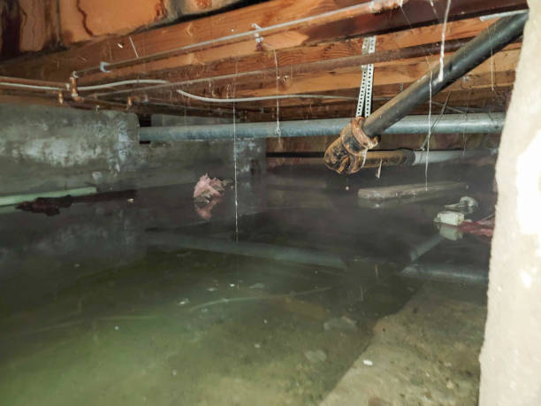 Best Emergency water damage restoration  in Clarkdale, AZ