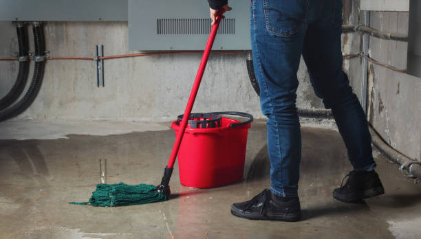 Best Water damage cleanup near me  in Clarkdale, AZ