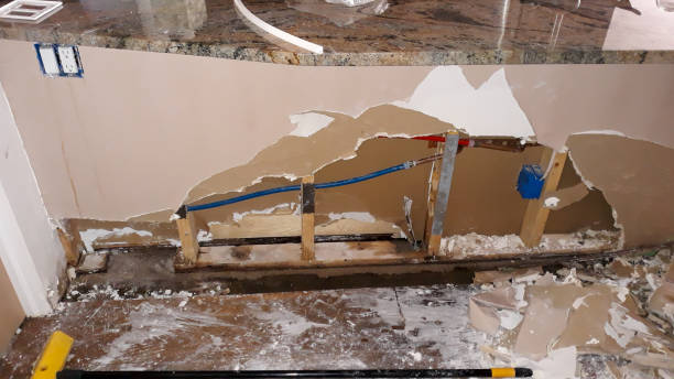 Best Mold removal after water damage  in Clarkdale, AZ