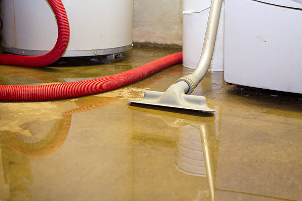 Best Carpet water damage restoration  in Clarkdale, AZ