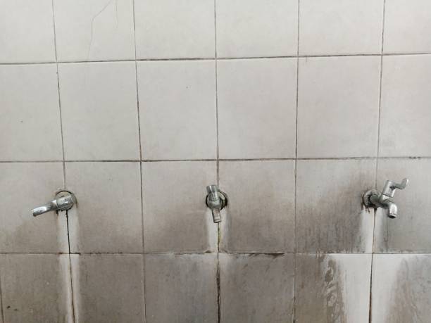 Best Sewage cleanup and water damage restoration  in Clarkdale, AZ