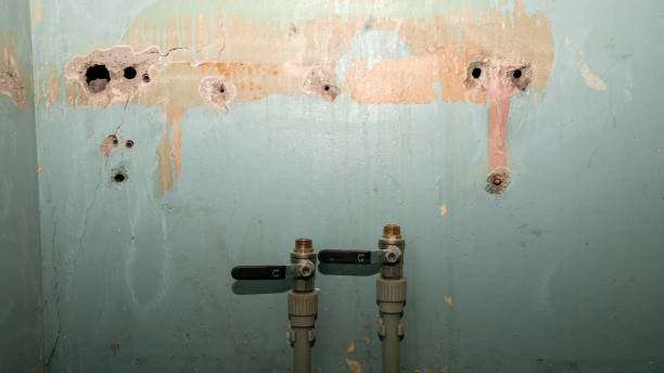 Best Flood damage cleanup  in Clarkdale, AZ